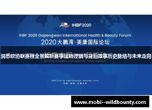 洞悉欧协联赛程全景解析赛事运转逻辑与背后故事历史脉络与未来走向 洞悉欧协联赛程全景解析赛事运转逻辑与背后故事历史脉络与未来走向