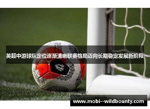 英超中游球队定位逐渐清晰联赛格局迈向长期稳定发展新阶段 英超中游球队定位逐渐清晰联赛格局迈向长期稳定发展新阶段