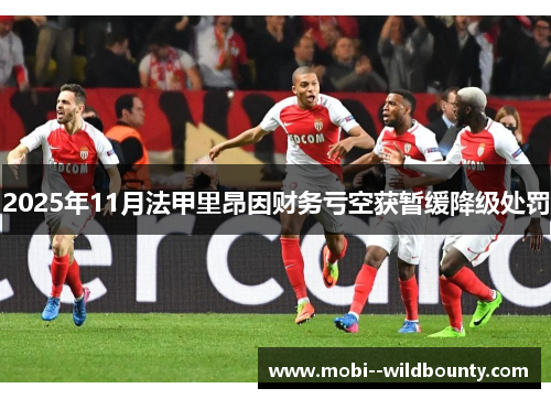 2025年11月法甲里昂因财务亏空获暂缓降级处罚