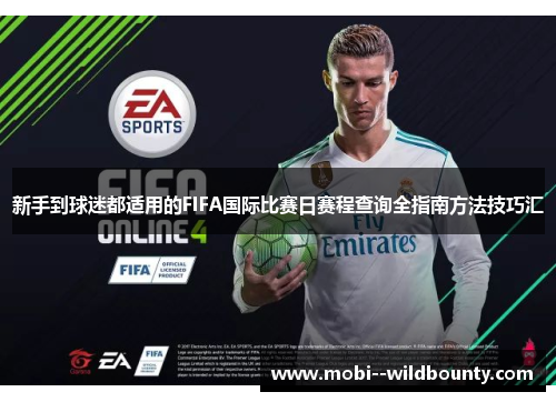 新手到球迷都适用的FIFA国际比赛日赛程查询全指南方法技巧汇