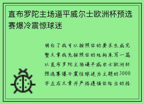 直布罗陀主场逼平威尔士欧洲杯预选赛爆冷震惊球迷