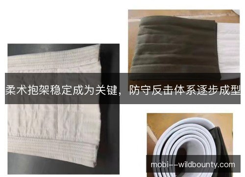 柔术抱架稳定成为关键，防守反击体系逐步成型